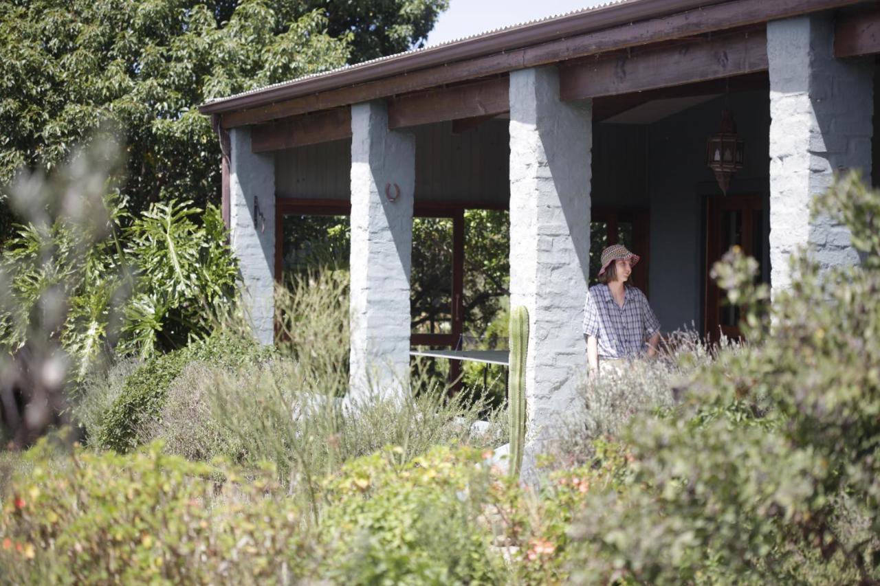 Forest Hills Knysna Exterior photo