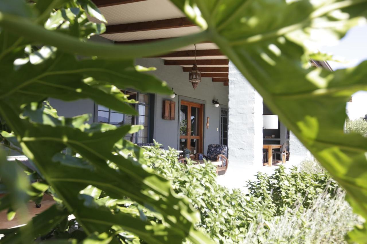 Forest Hills Knysna Exterior photo