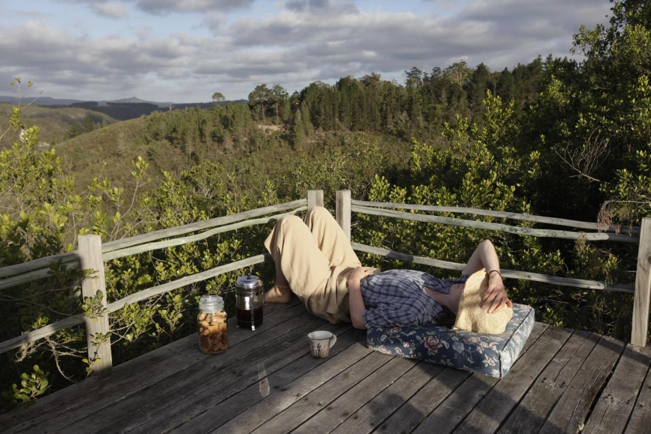 Forest Hills Knysna Exterior photo