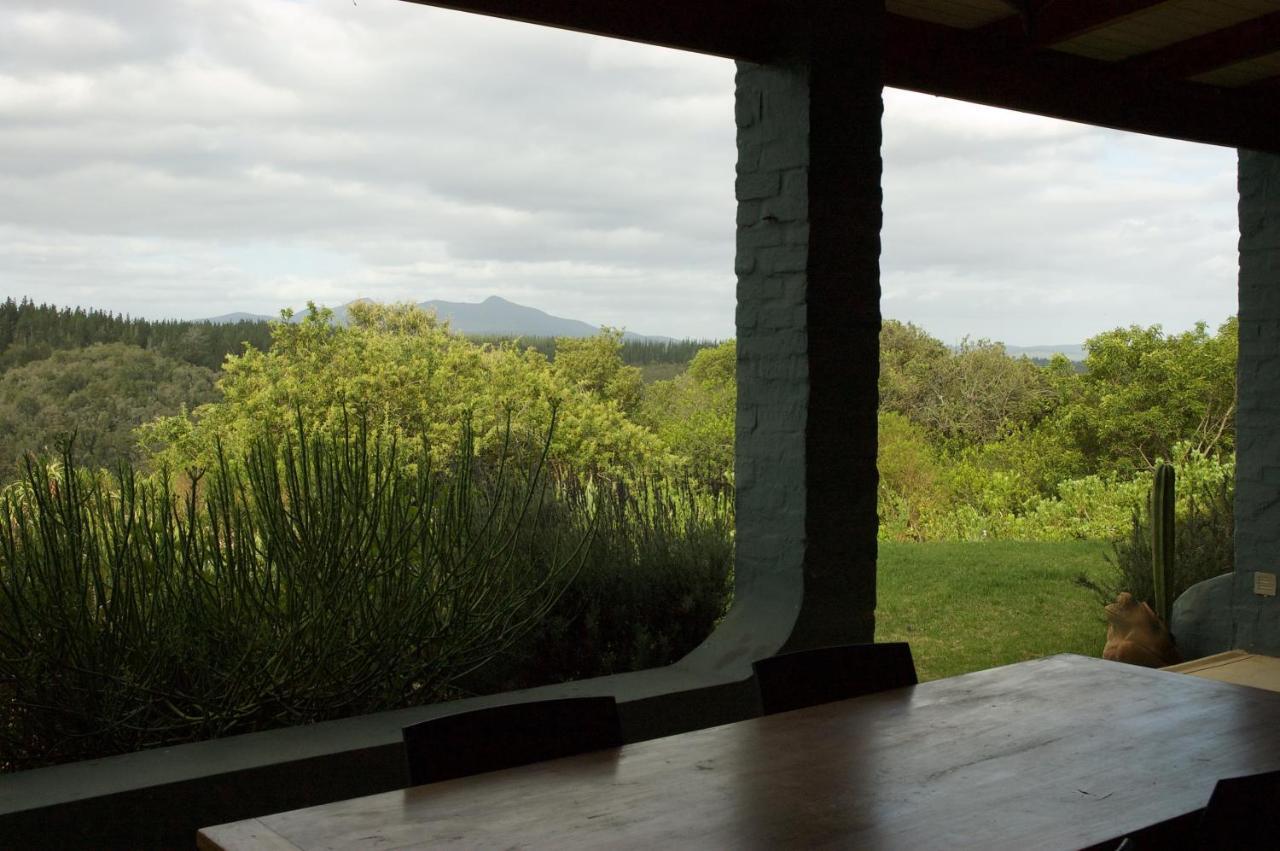 Forest Hills Knysna Exterior photo